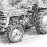 Grisu1972