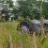 thorbo94