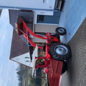 MF 135