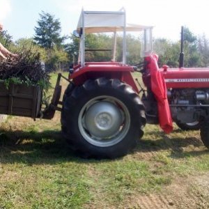 mein Mf 135 orginal 2.800st
