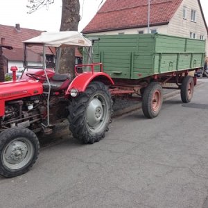 MF35 Bj 64