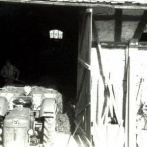 mein Mf 25 Neu 1962