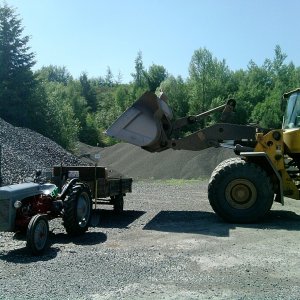 Daniel