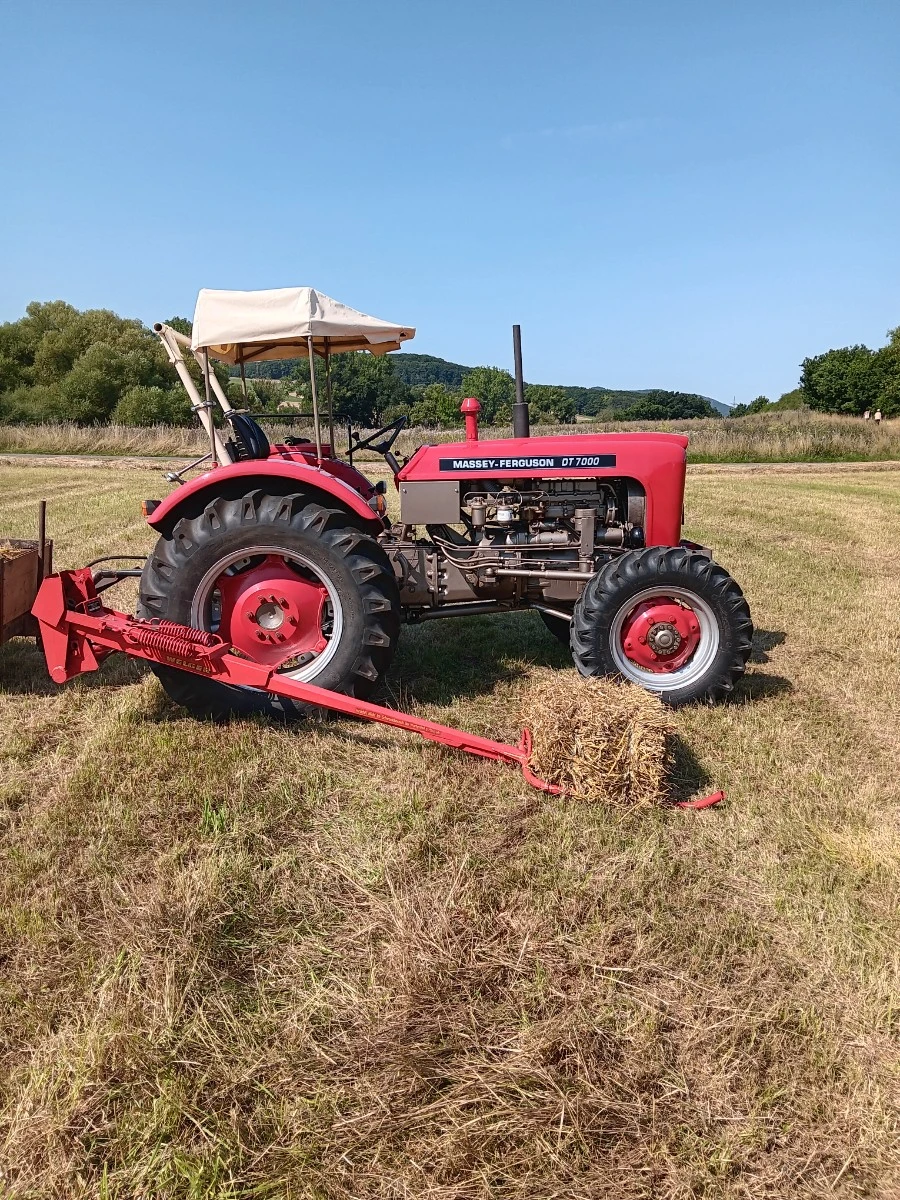 DT7000 Ballenwerfer1.webp