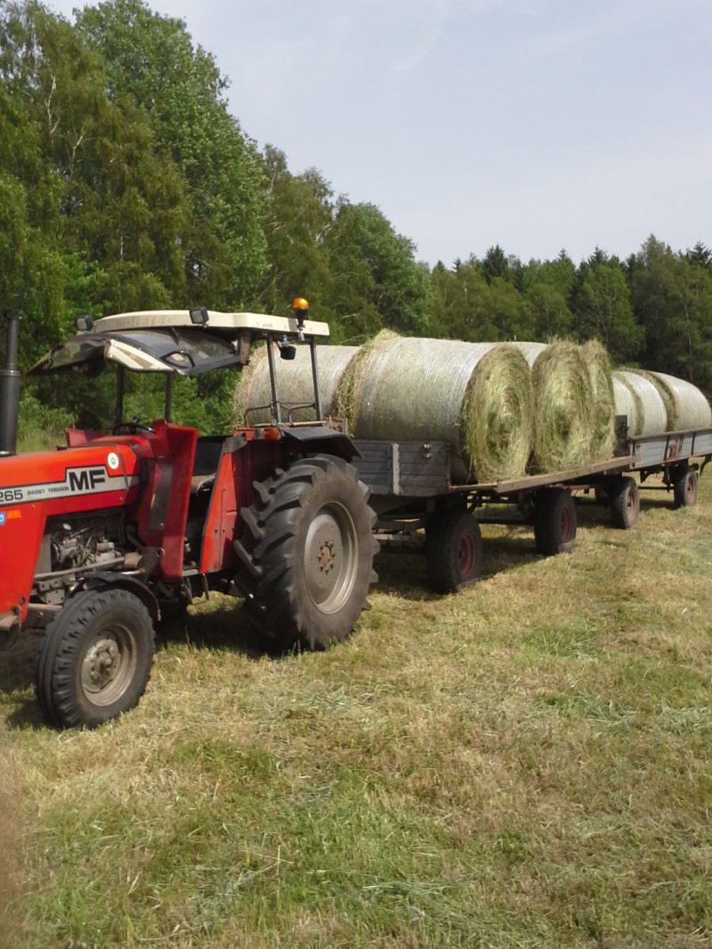 MF 265