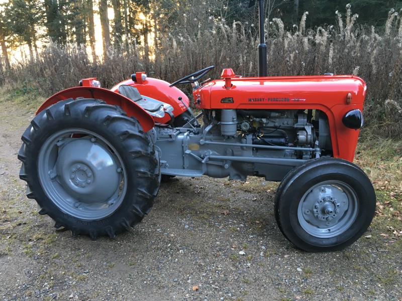 Schwarzwald-MF35