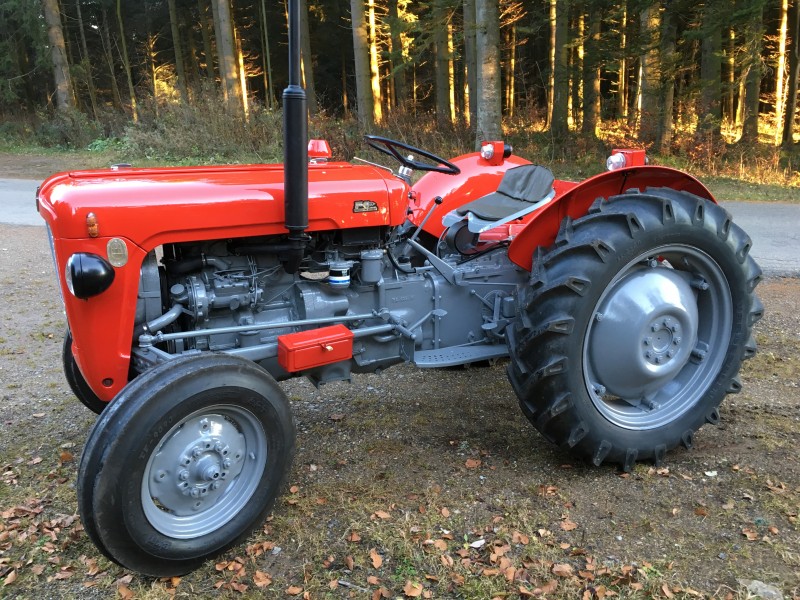 Schwarzwald-MF35
