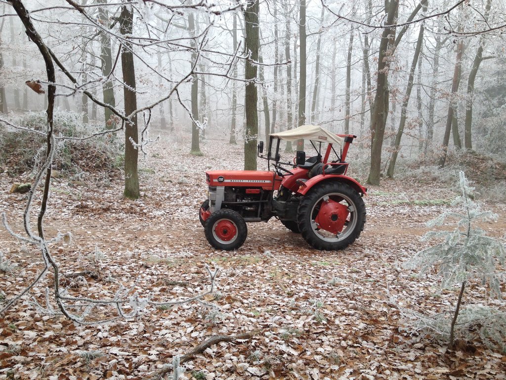 27660876gk.jpg