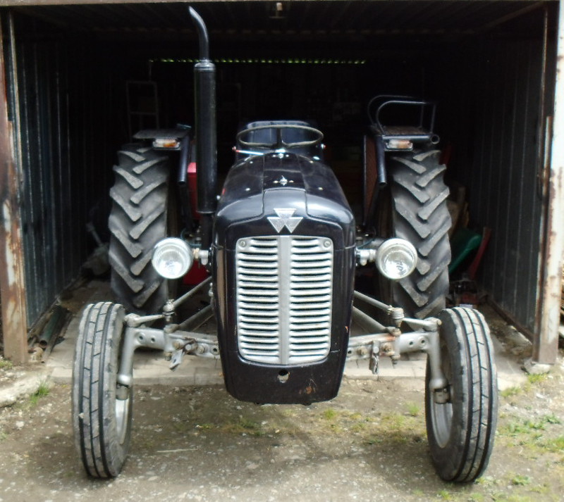 25009902it.jpg