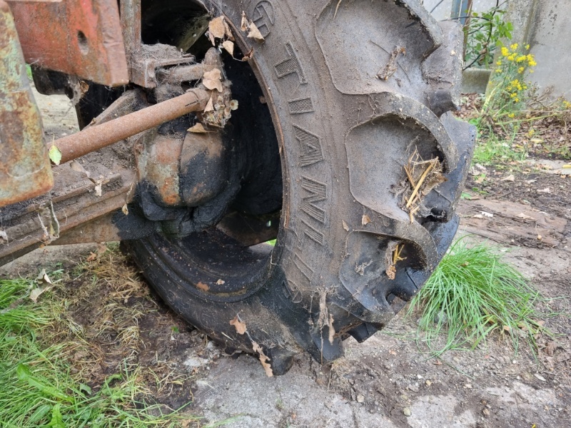 46350454cf.jpg