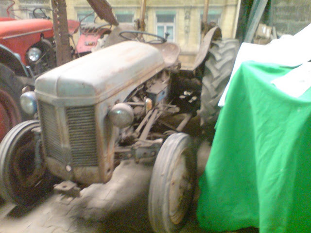 DSC01184.JPG